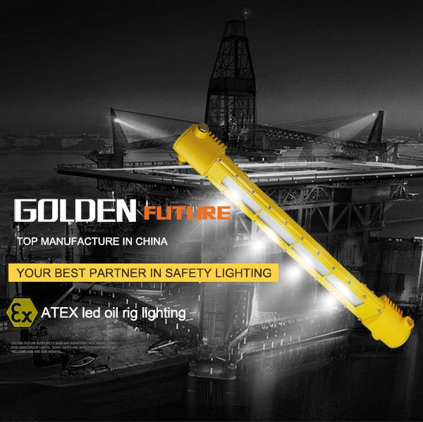 DL618  approve 40w cree led explosion proof light