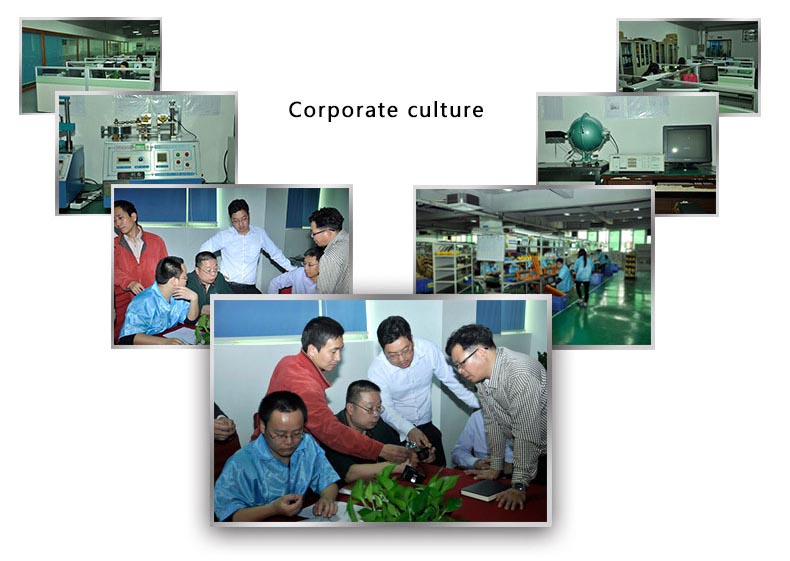golden future factory/china suppliers